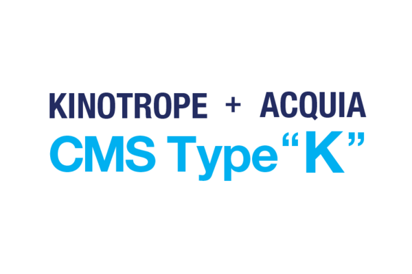 アクイア導入サービス【ACQUIA CMS Type K】 